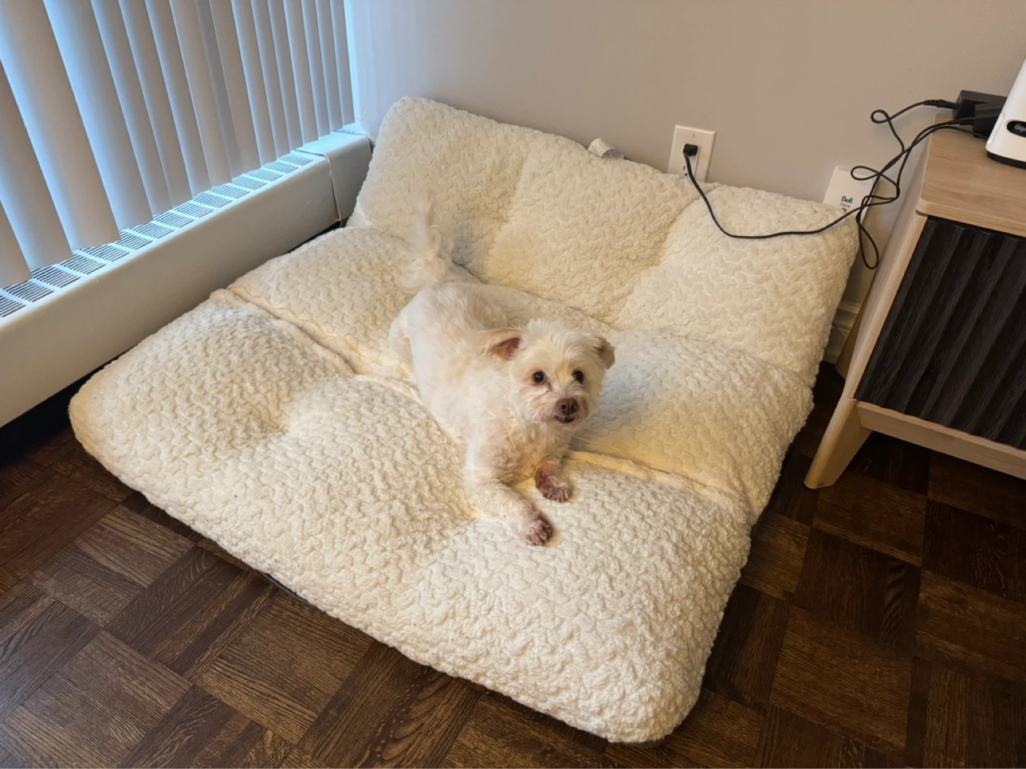 Kirkland Signature Tufted Napper 42"X42" Pet Bed - photo 2