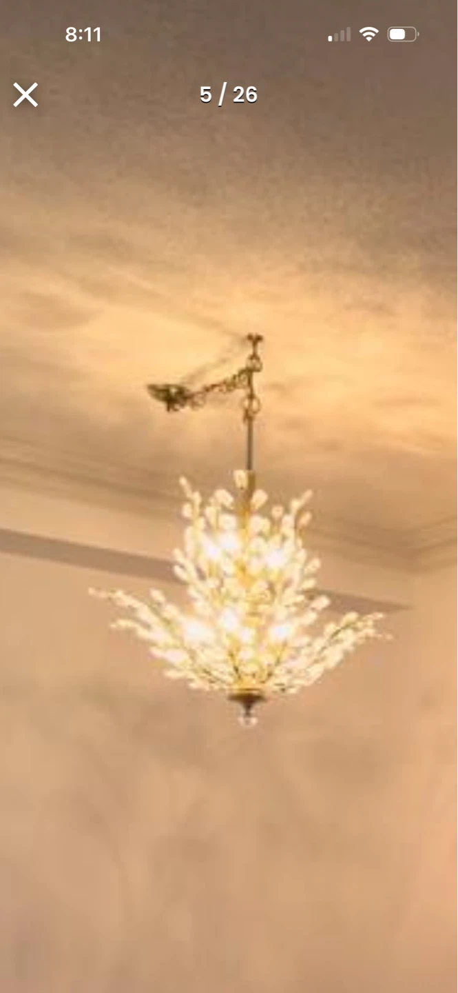 Crystal Chandelier Light Fixture