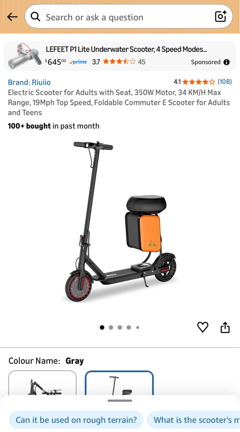 Ruiio Electric Scooter with Seat - Gray