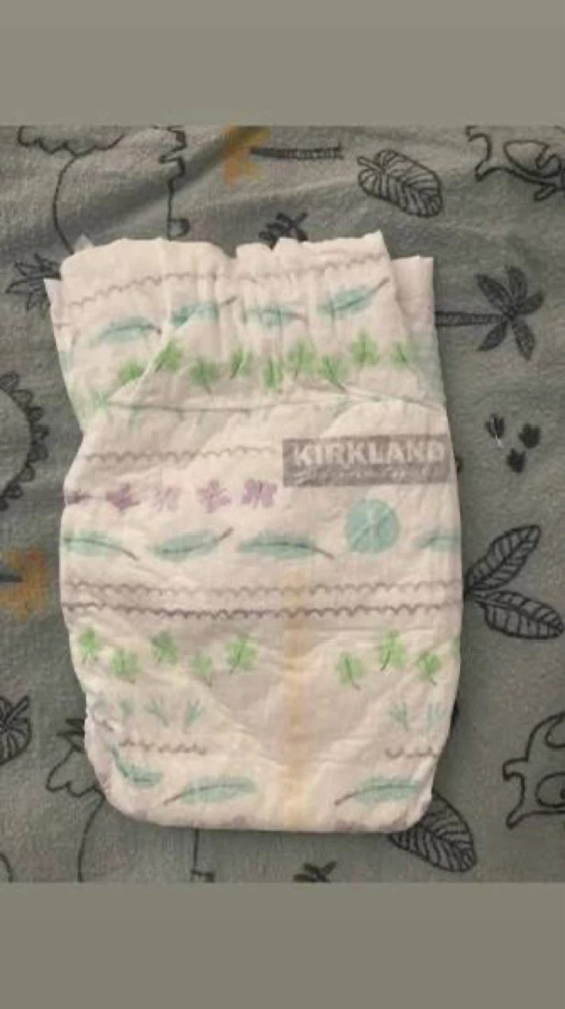 Kirkland Signature DiaperSize 1