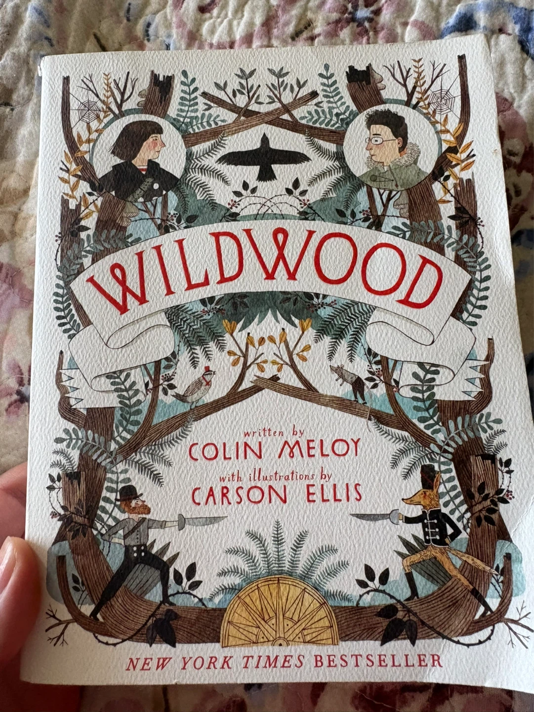 Wildwood by Colin Meloy Children's Book