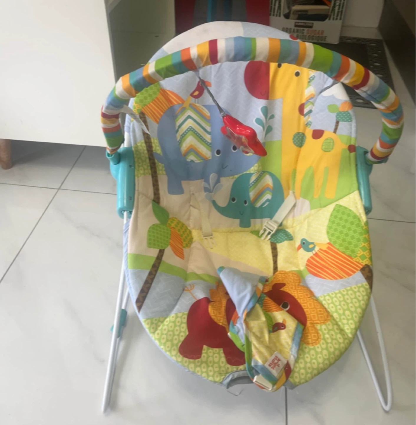 Bright Starts Baby Bouncer Seat - photo 2