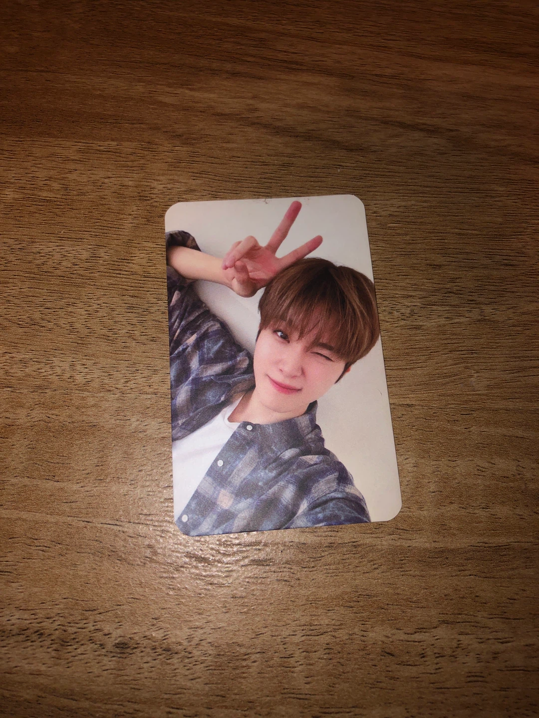 One pact photocards from the korean festival 2025