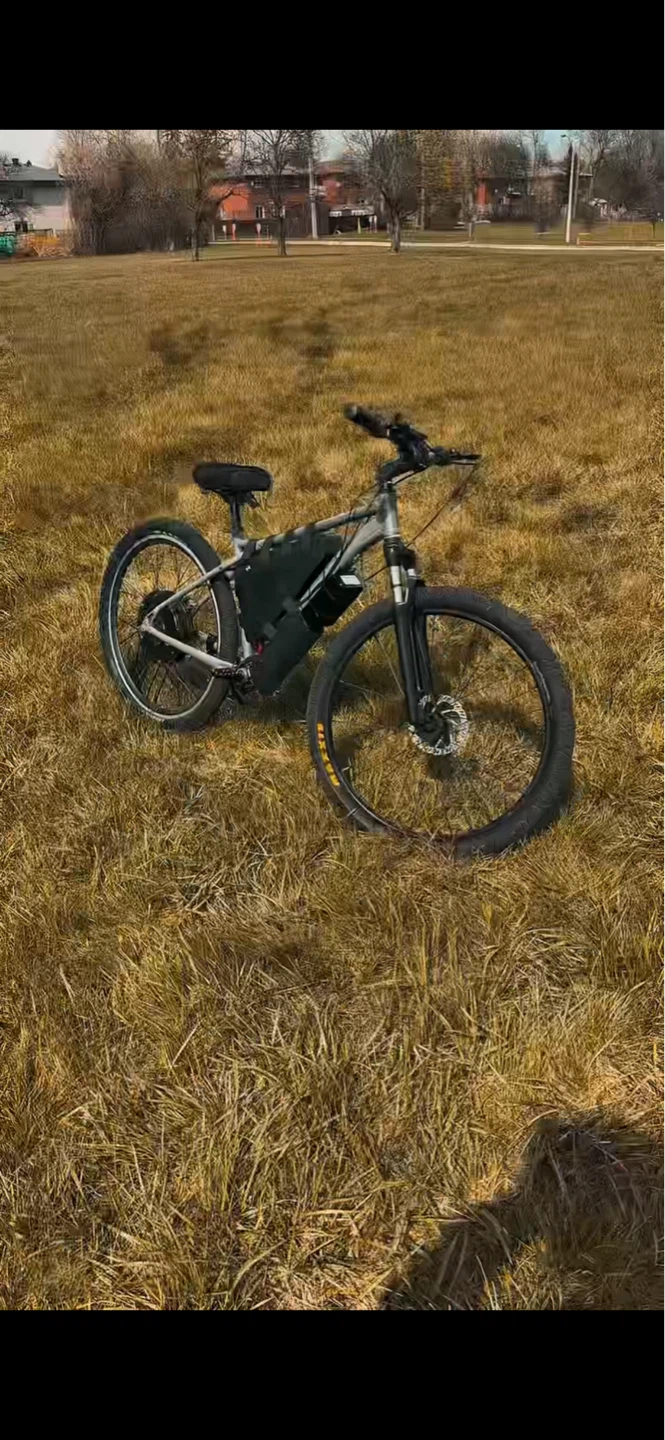 Electric bike