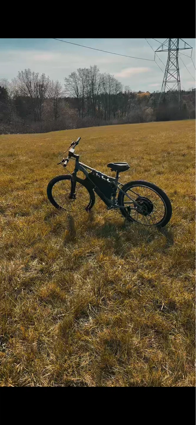 Electric bike - photo 2