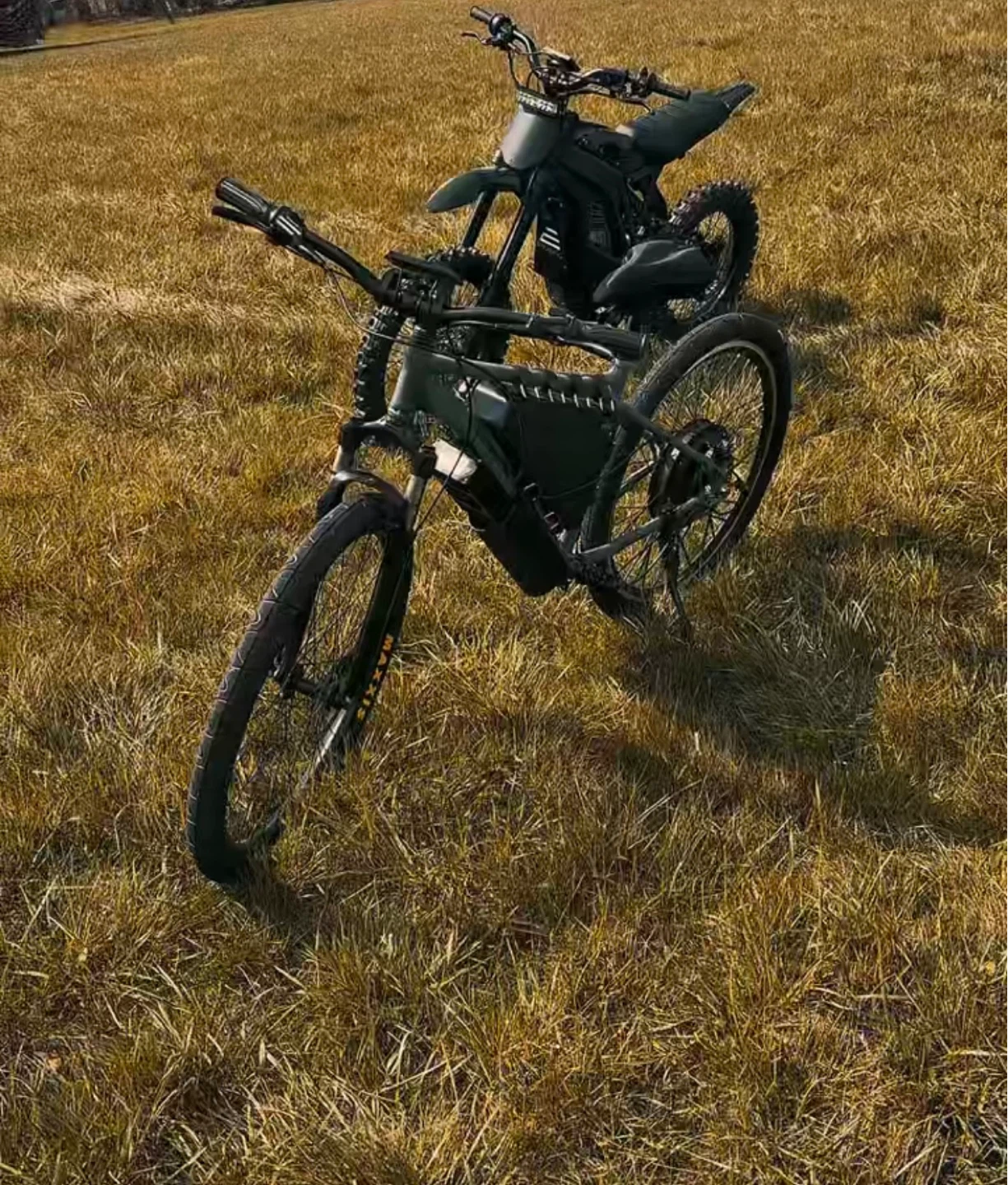 Electric bike - photo 3