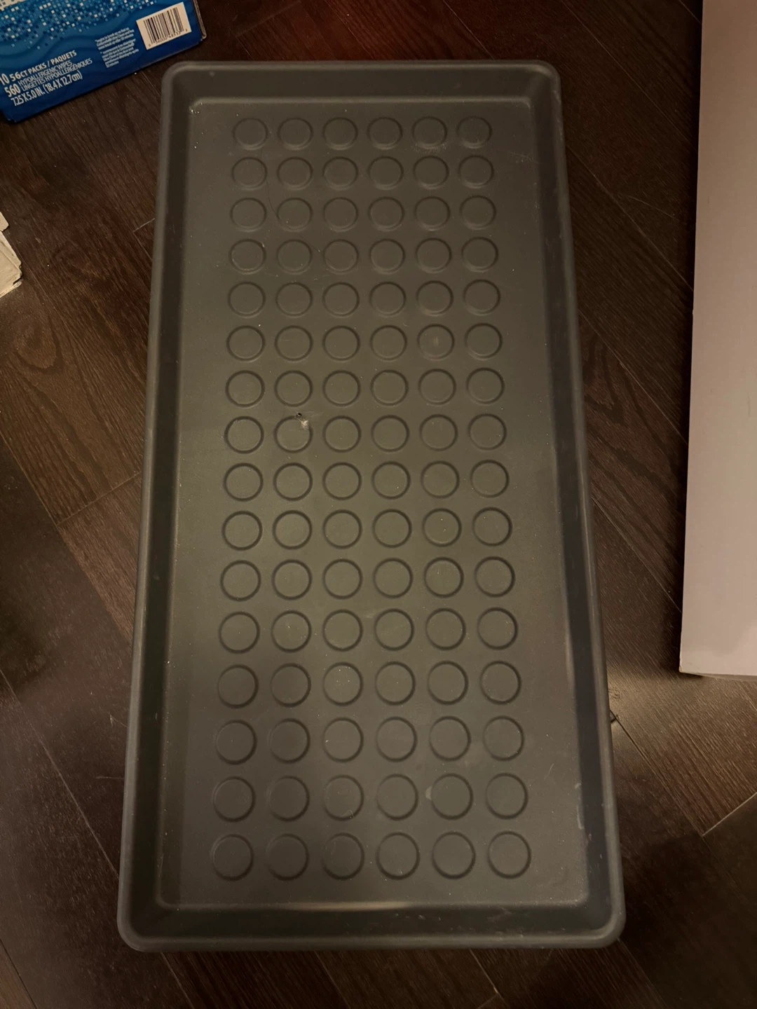 Shoes tray