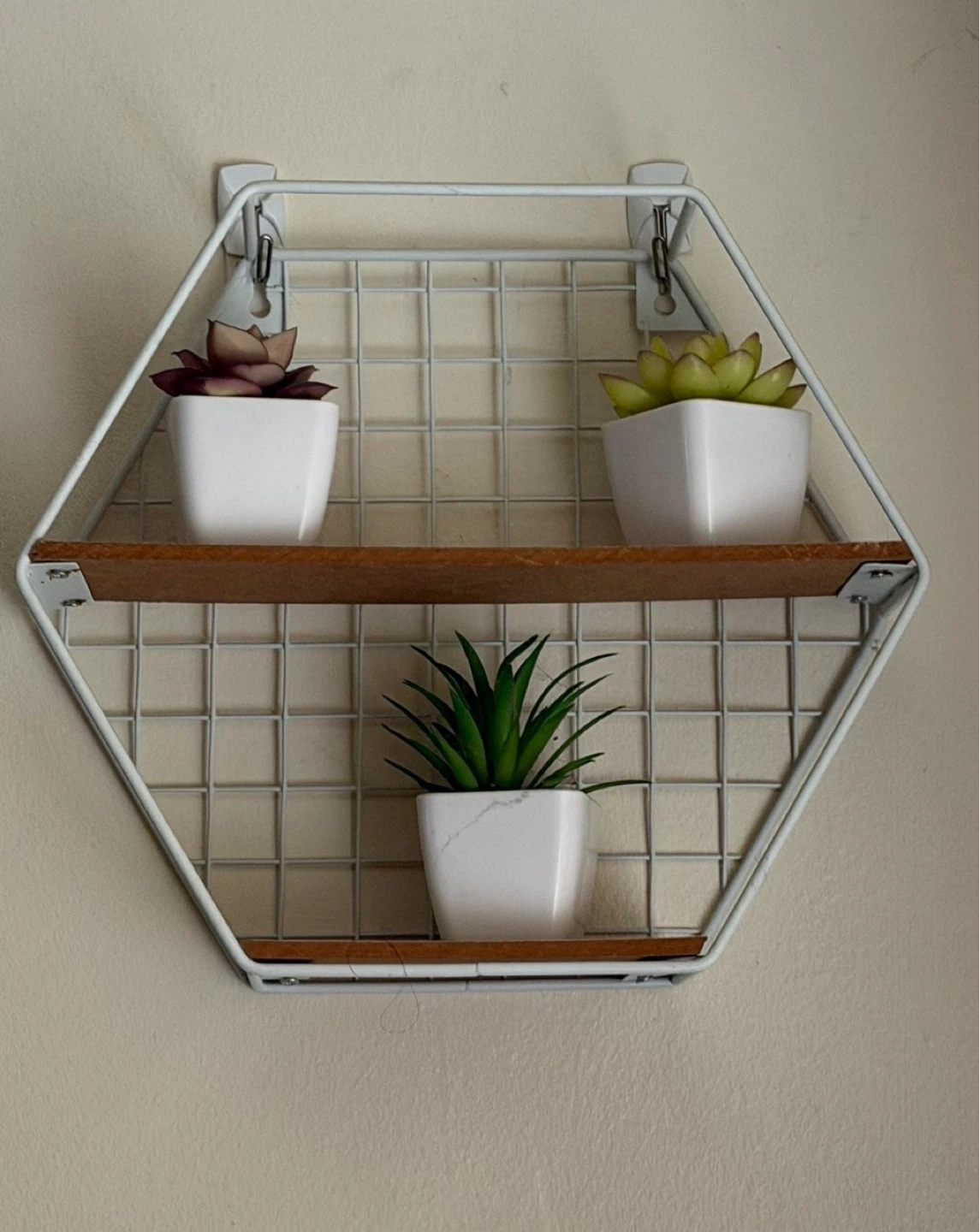 Hexagon Wall Shelf with 3 Faux Succulents