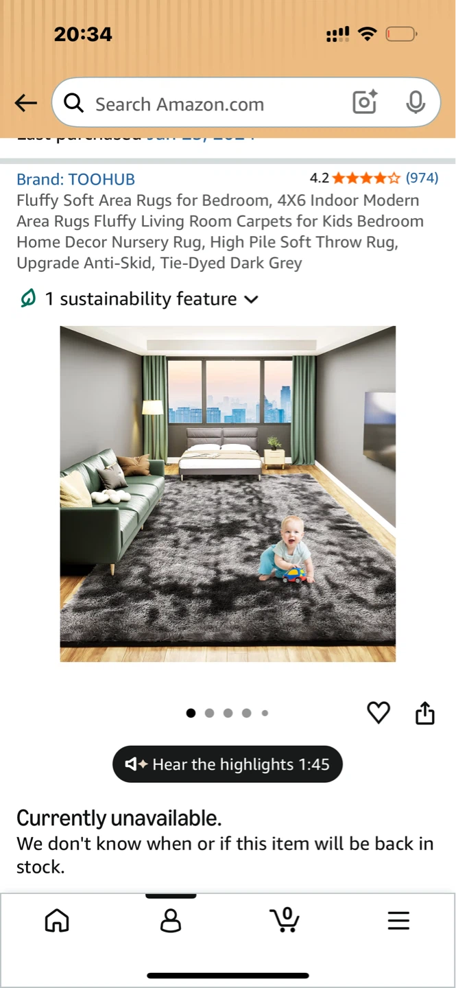 Black & Grey Fluffy Soft Area Rug, 4x6 Indoor Modern