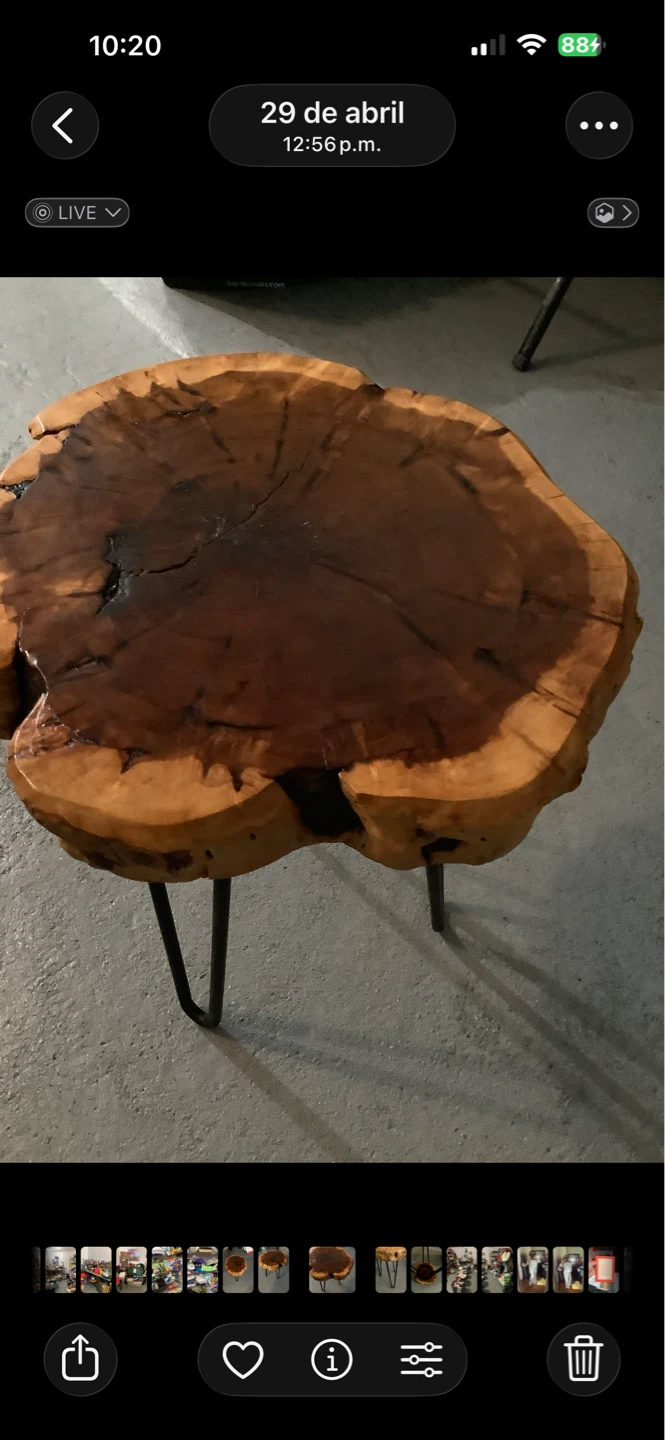 Live Edge Wood Slice Coffee Table with Metal Legs - photo 3