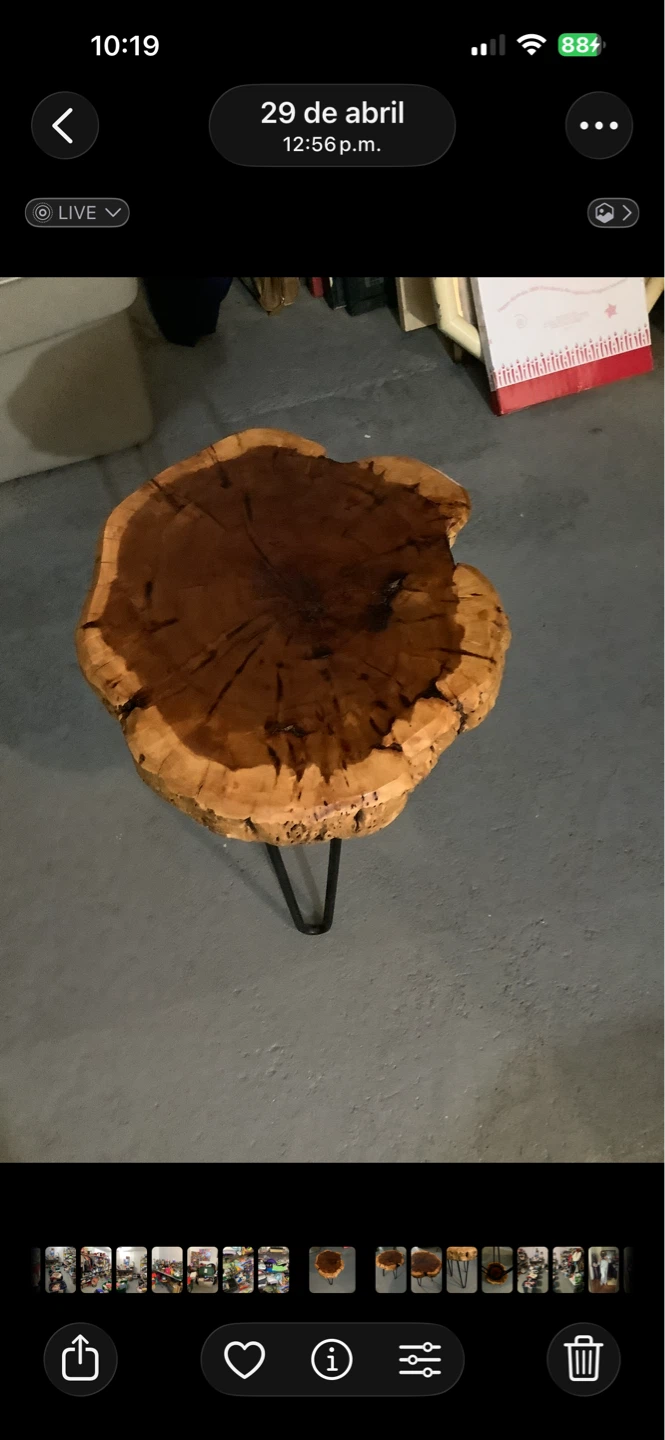 Live Edge Wood Slice Coffee Table with Metal Legs