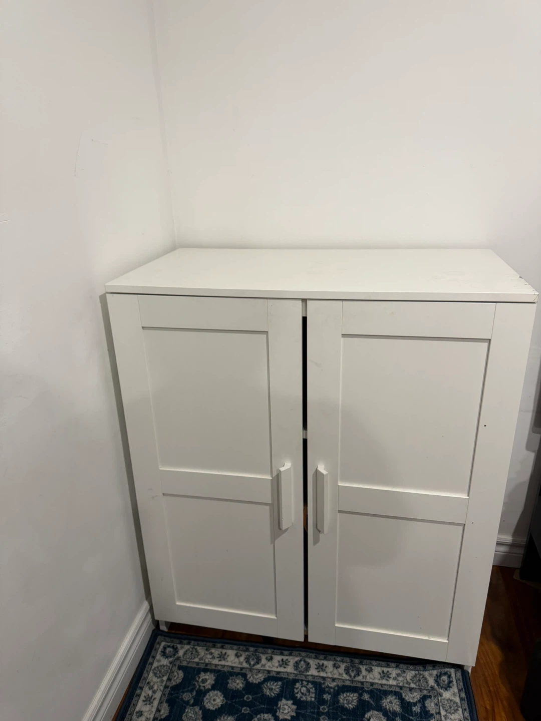 White Double Door Storage Cabinet