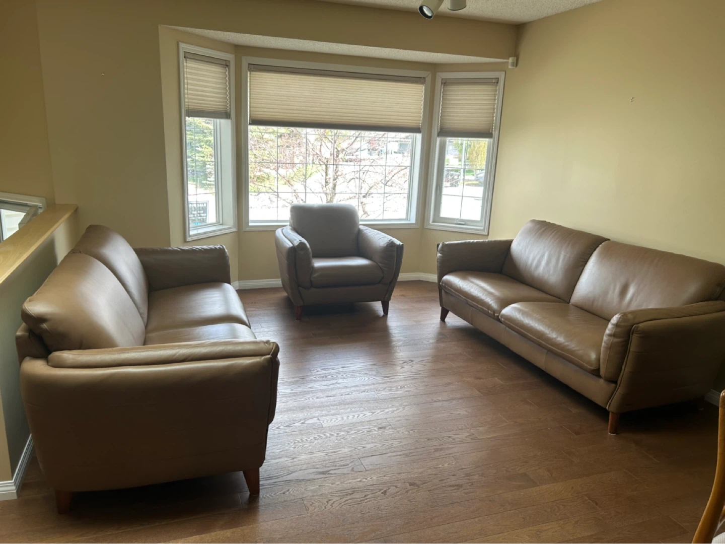 Natuzzi Editions Leather Sofa - photo 4