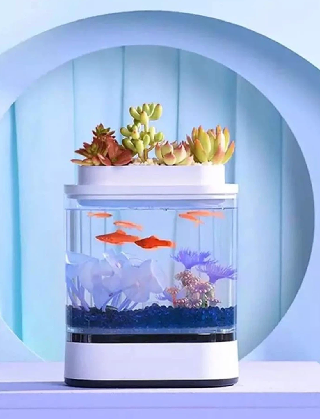 Mini Desktop Aquarium with Planter Top