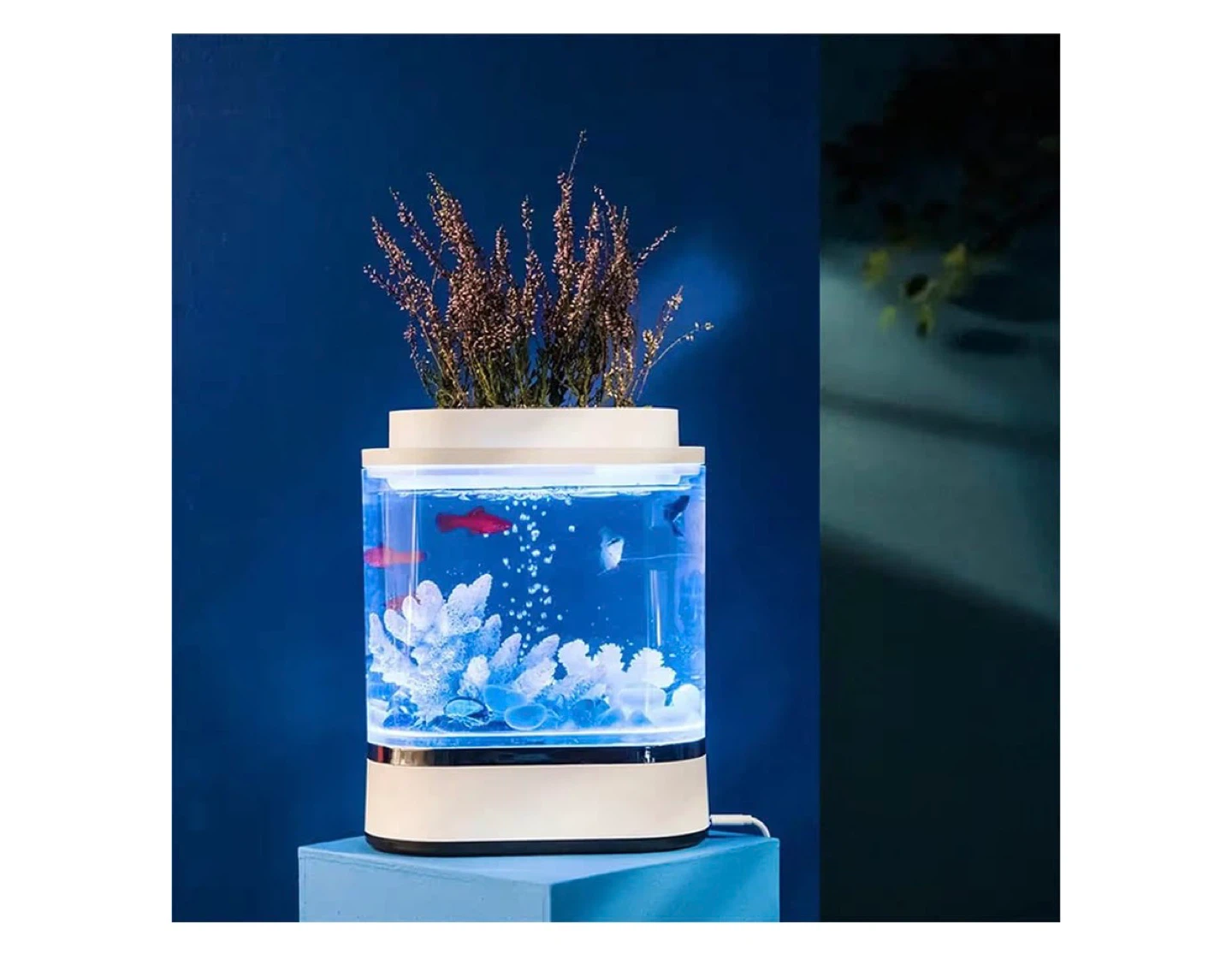 Mini Desktop Aquarium with Planter Top - photo 2
