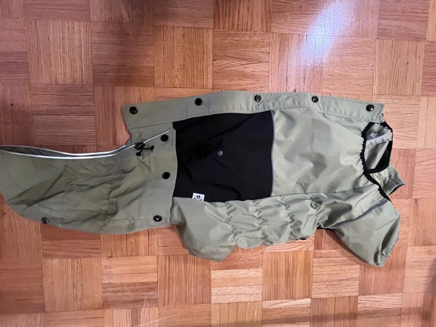 Large-Green Dog Rain Jacket - photo 2