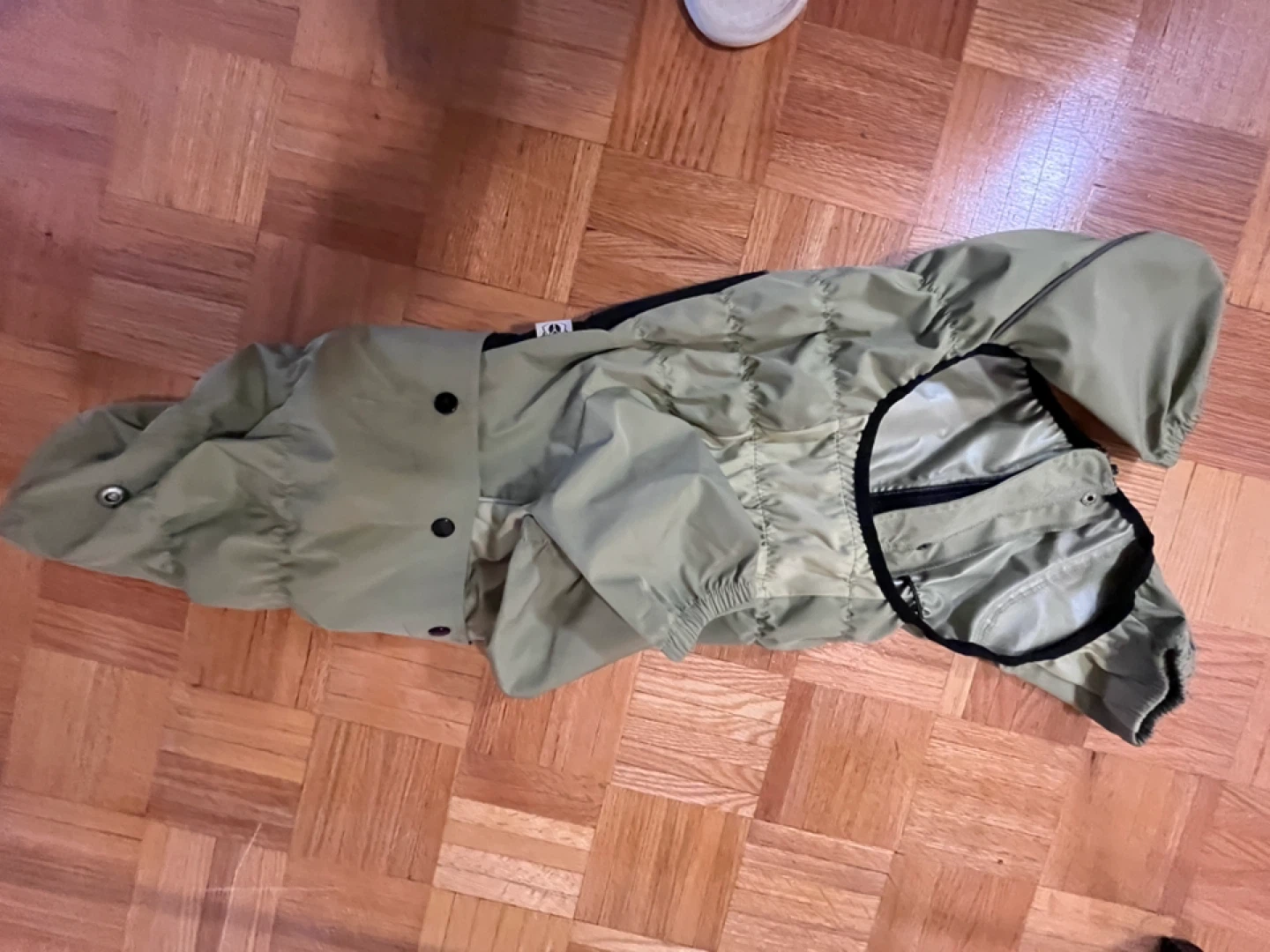 Large-Green Dog Rain Jacket