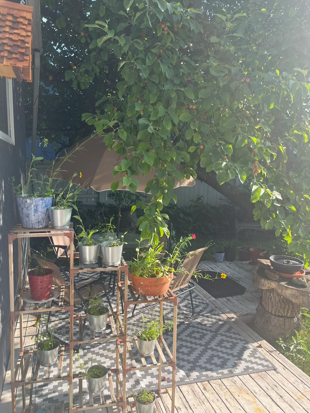 Wood Plant Stand / Shelf - photo 5