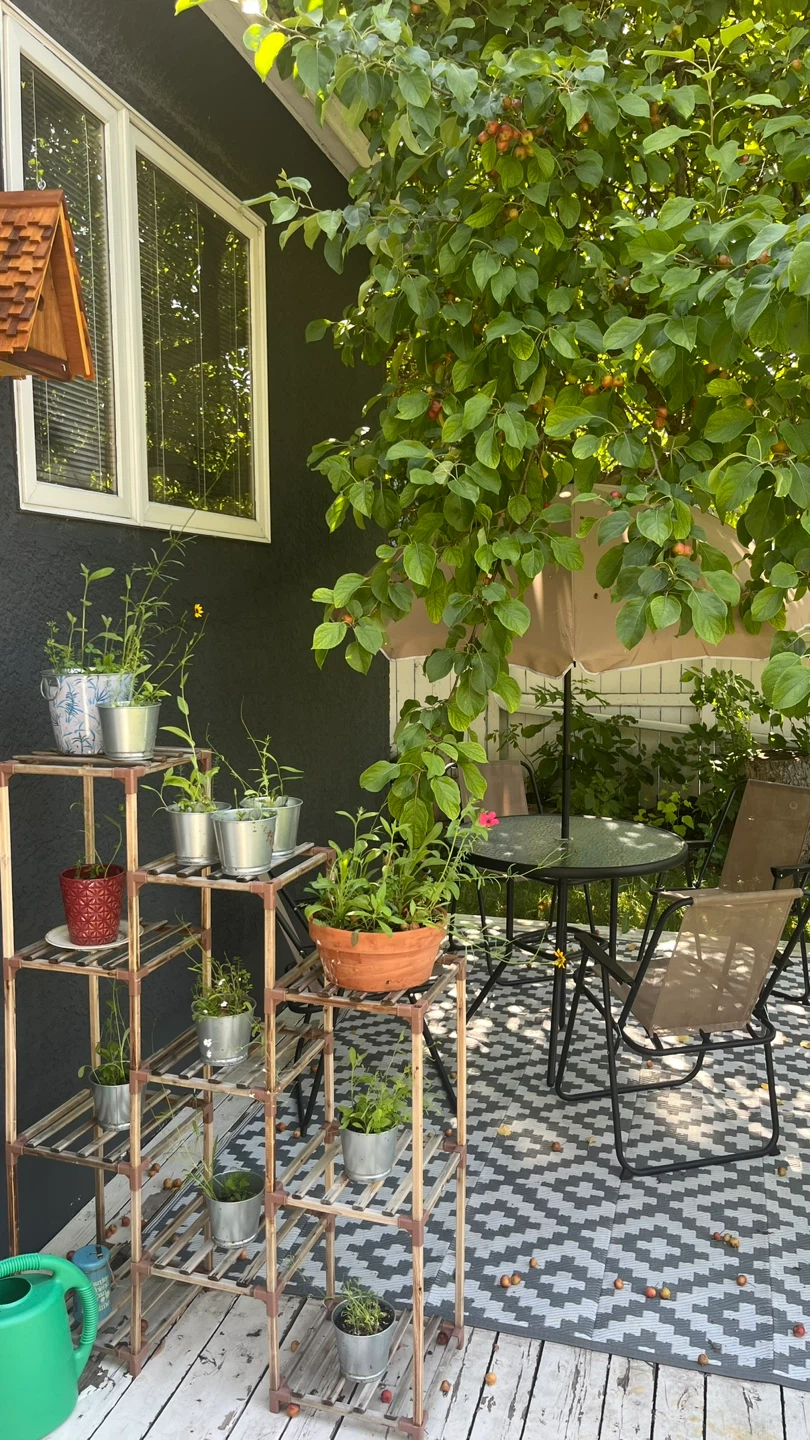 Wood Plant Stand / Shelf