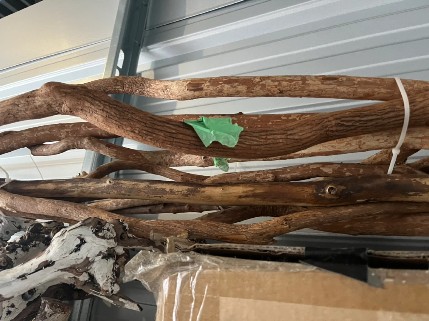 Bundle of Natural Driftwood Branches - photo 2