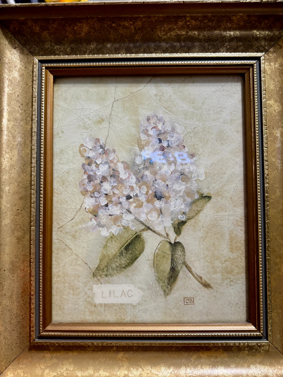 Lilac on Cracked Linen by Cheri Blum