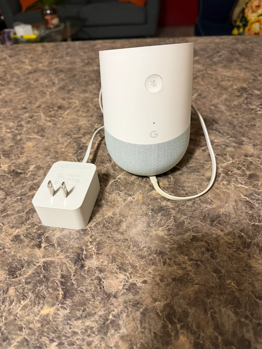 Google Home Smart Speaker with Power Adapter