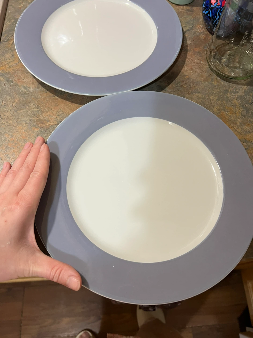 IKEA 365+ Dinner Plates (2) - Grey