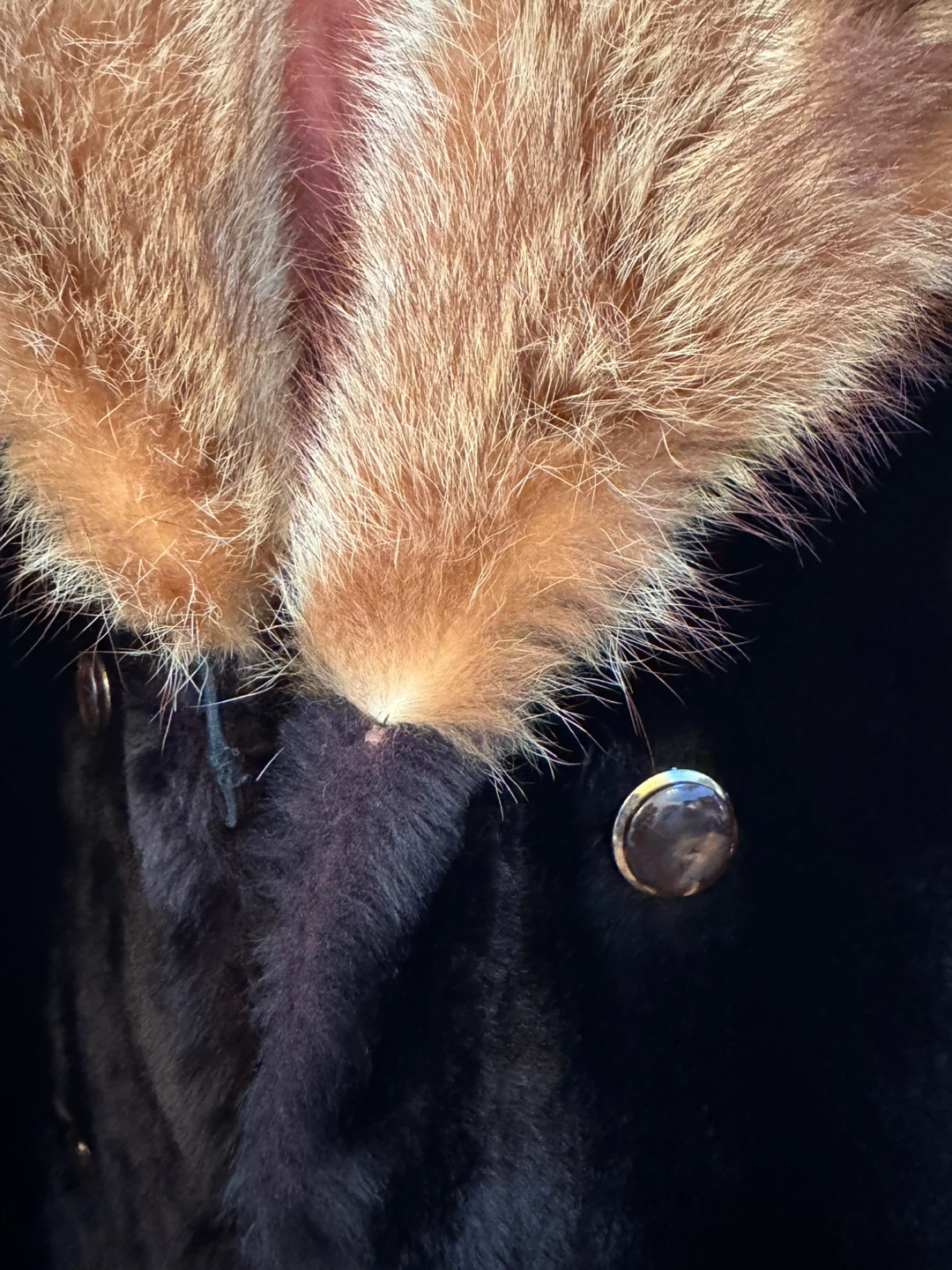 Vintage Fur Coat - photo 3