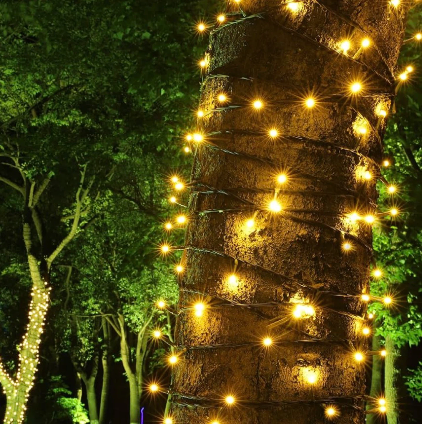 String Lights LED Seasonal Use - photo 4