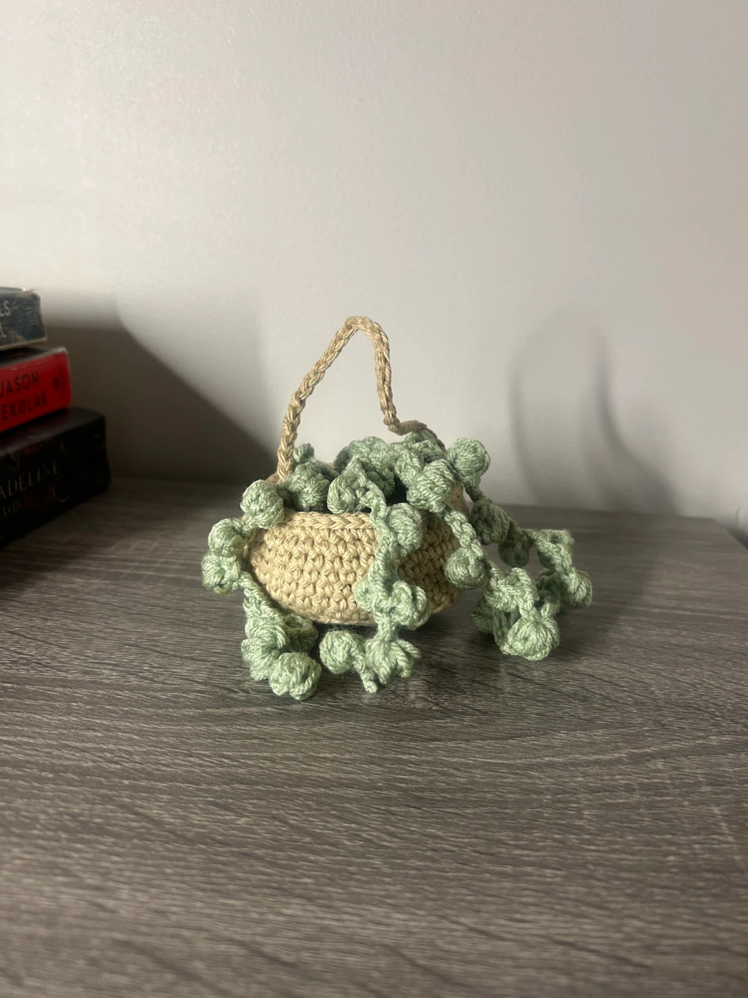 Crocheted Hanging Plant Decor - photo 4