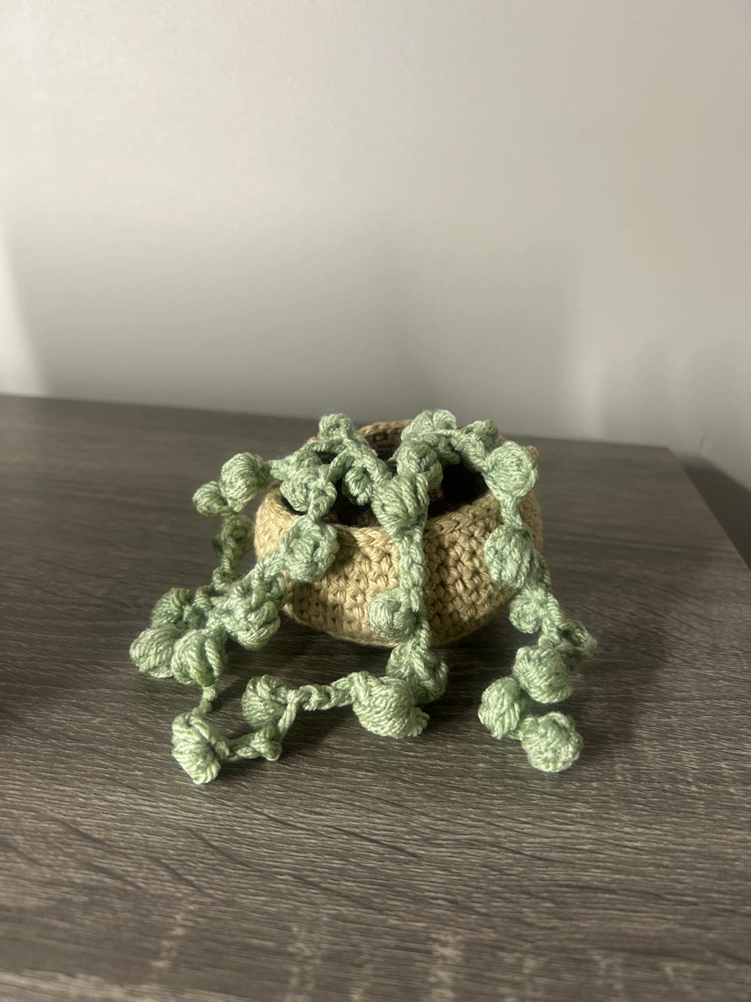 Crocheted Hanging Plant Decor