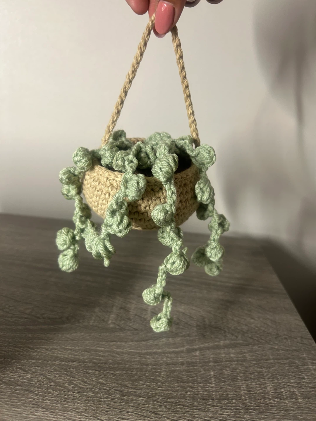 Crocheted Hanging Plant Decor - photo 2