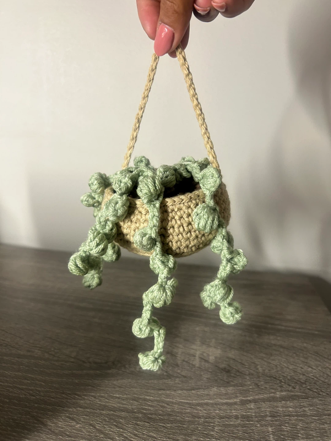 Crocheted Hanging Plant Decor - photo 3