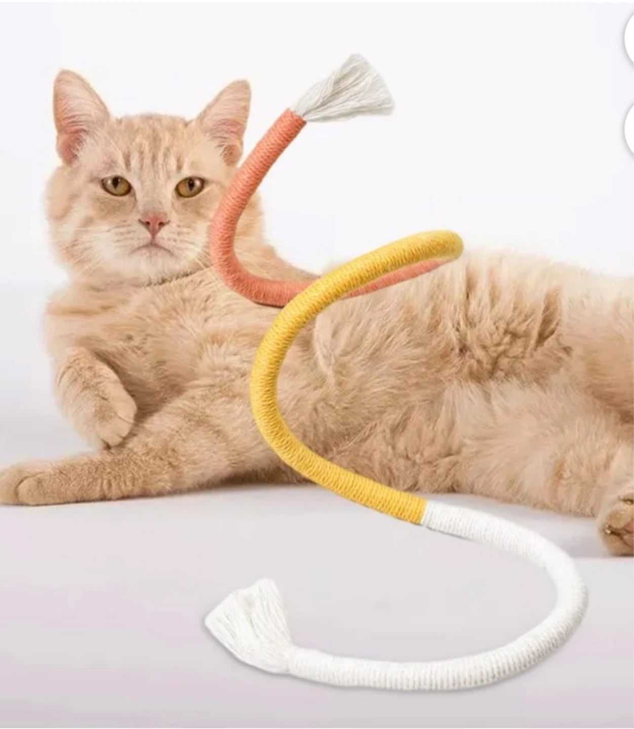 Twisty Rope Cat Toy - Orange, Yellow, White - photo 5