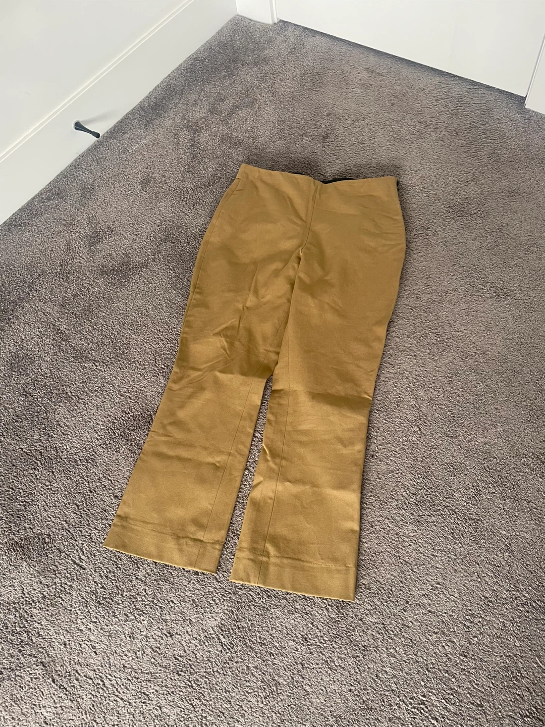 Everlane Women's Tan Pants