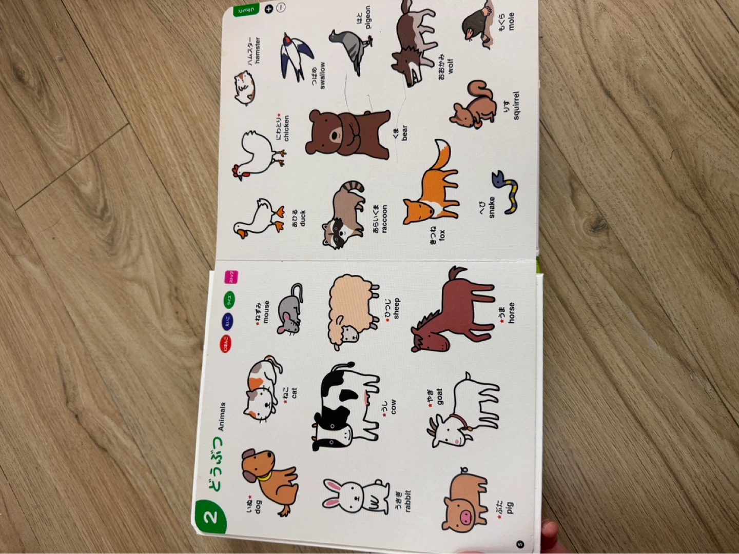 Japanese Word Book (おしゃべりことばずかん) - photo 3