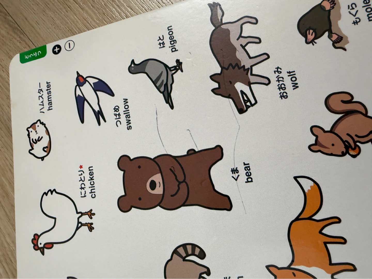 Japanese Word Book (おしゃべりことばずかん) - photo 4
