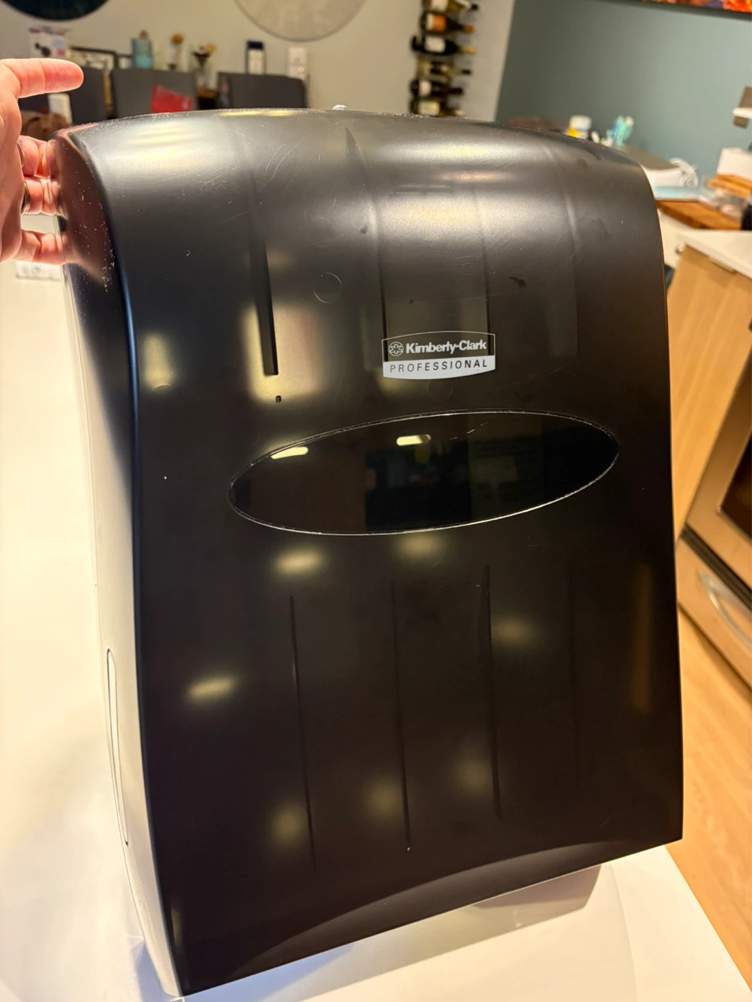 Professional Paper Towel Dispenser