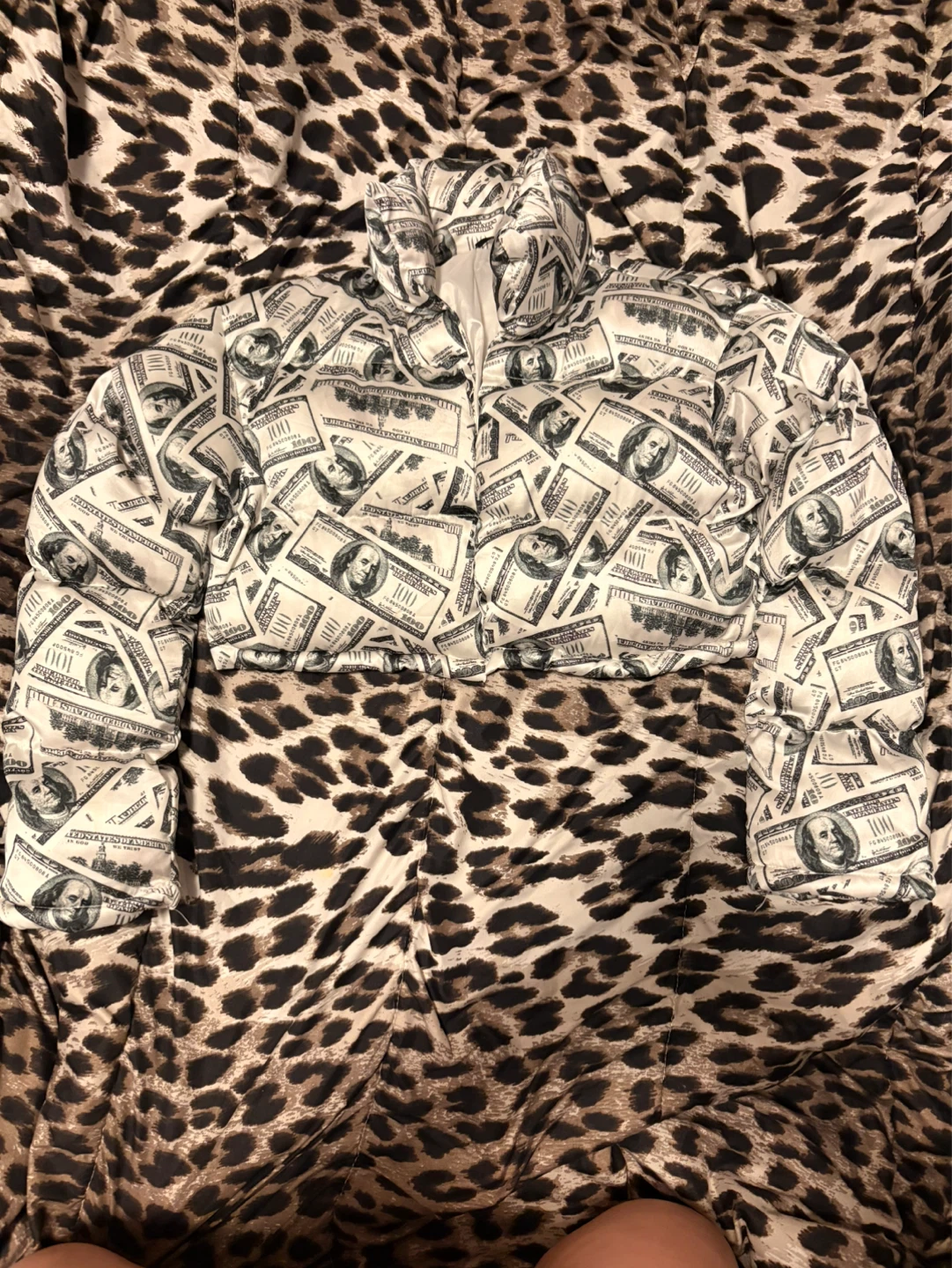Money Print cropped Puffer Jacket