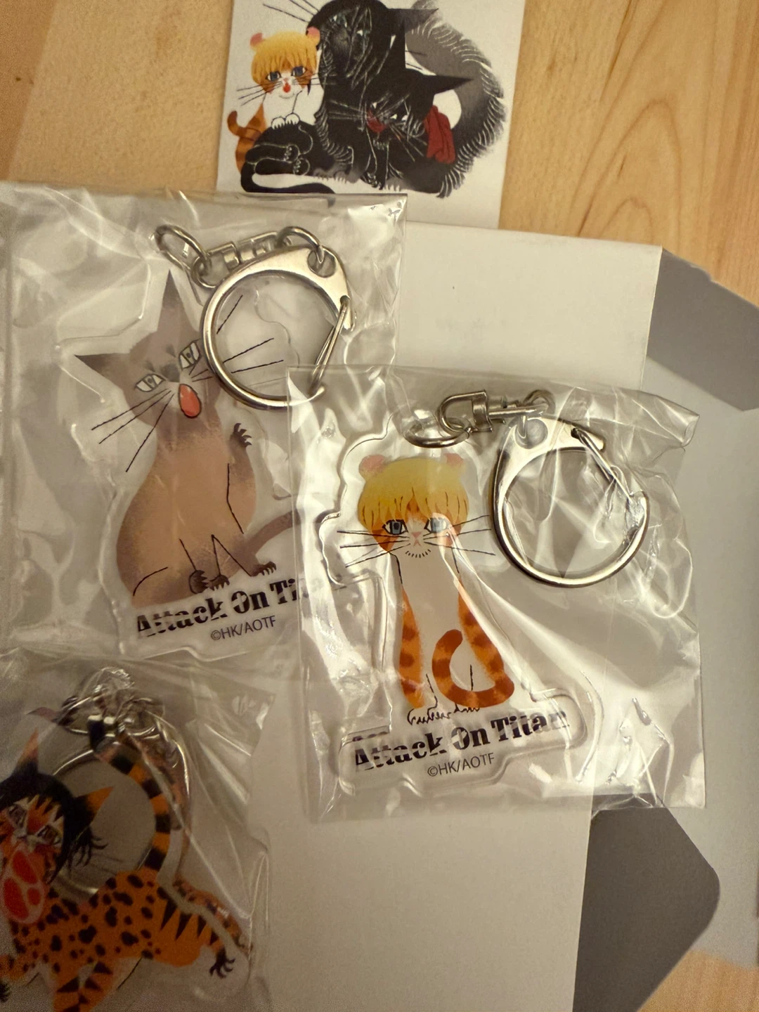 Attack on Titan RE:SHAZAM collab cat kitty acrylic keychains - photo 4