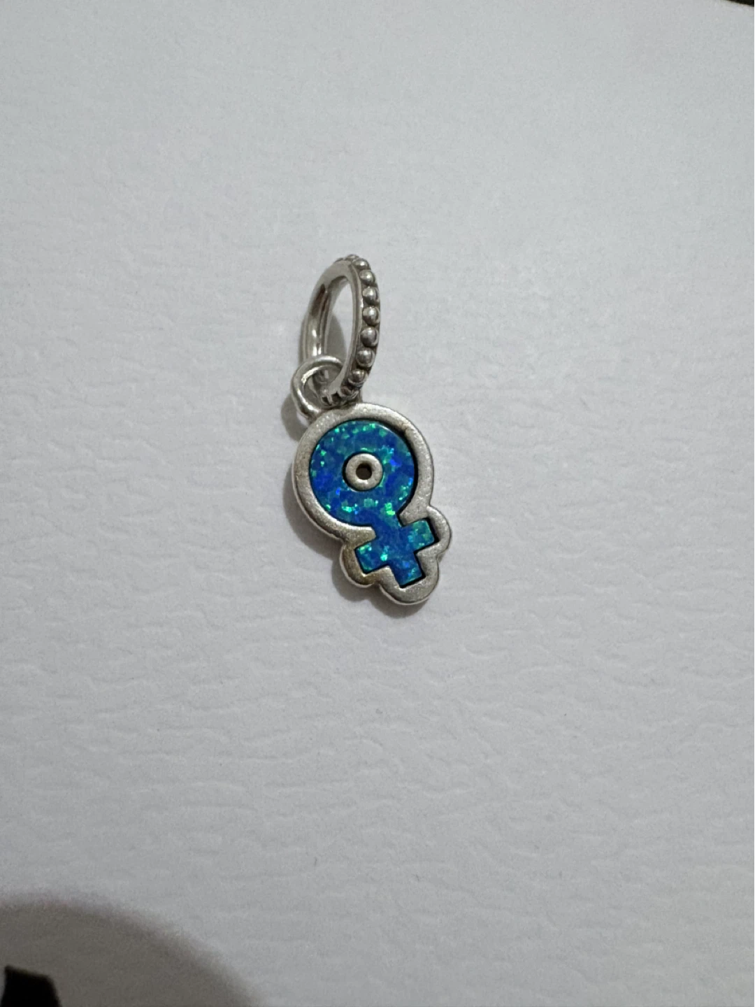 Pandora Charms