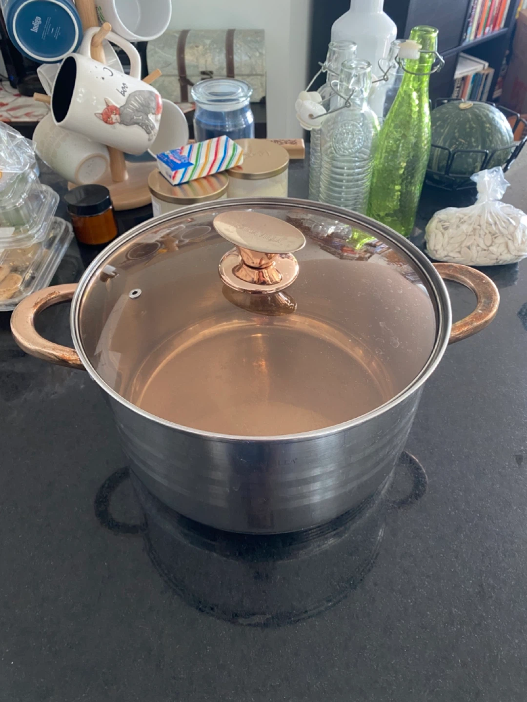 Large Stainless Steel Pot with Lid (8L)