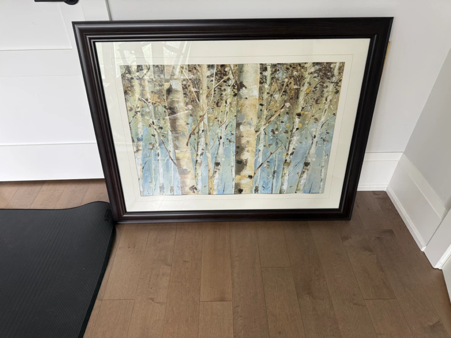 Birch Trees - Homesense Framed Art Print