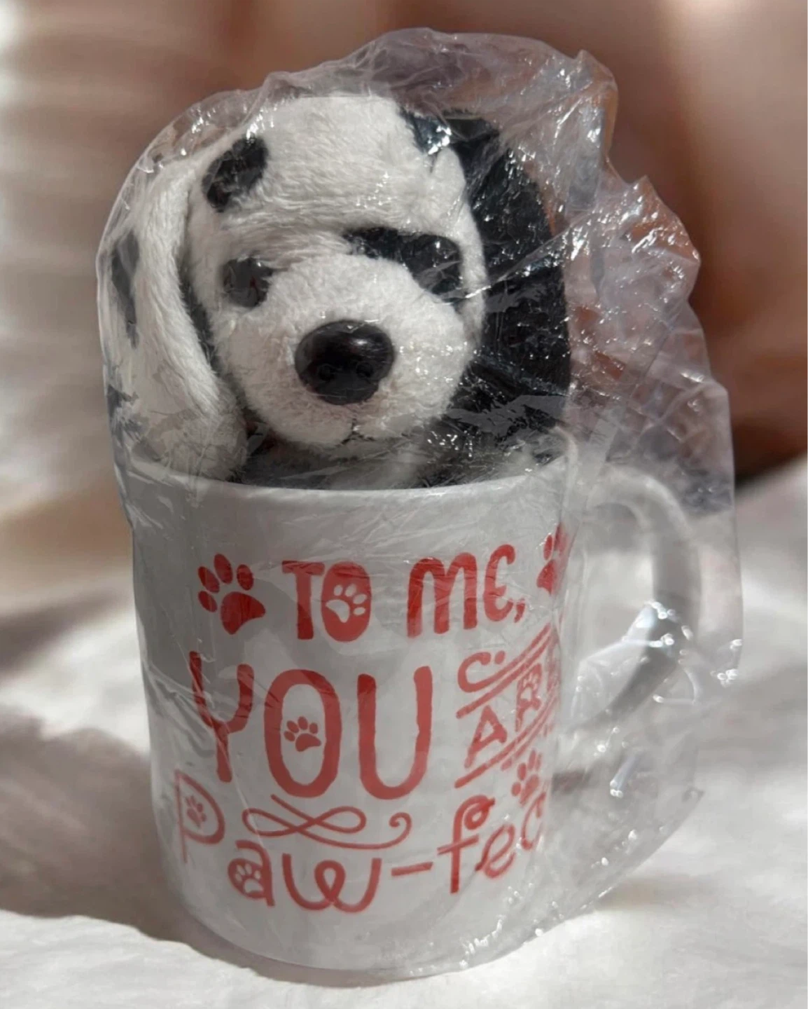 Plush Dog in Mug Set