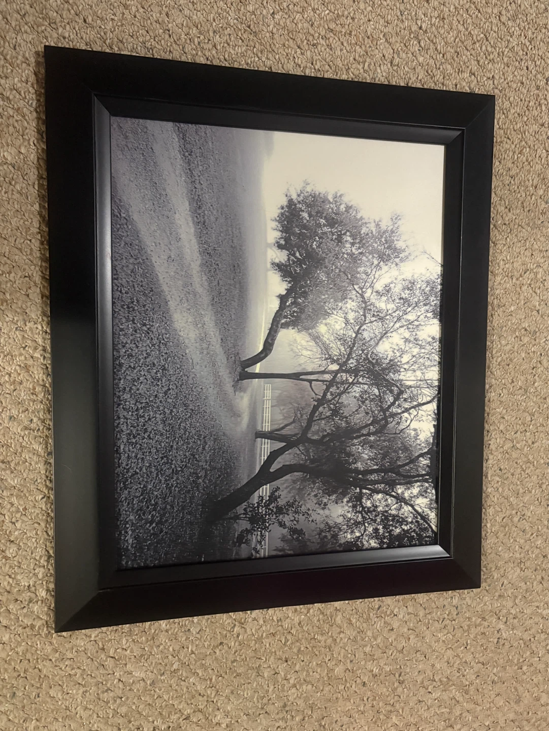 Framed Black and White Tree Art
