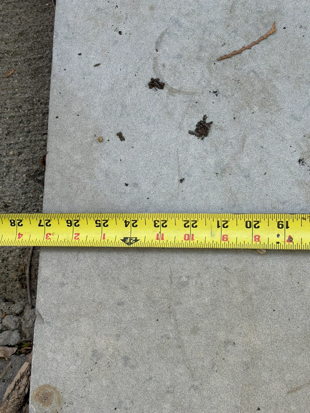 Large Bluestone / Flagstone Slab (48" x 24" x 1") - photo 3