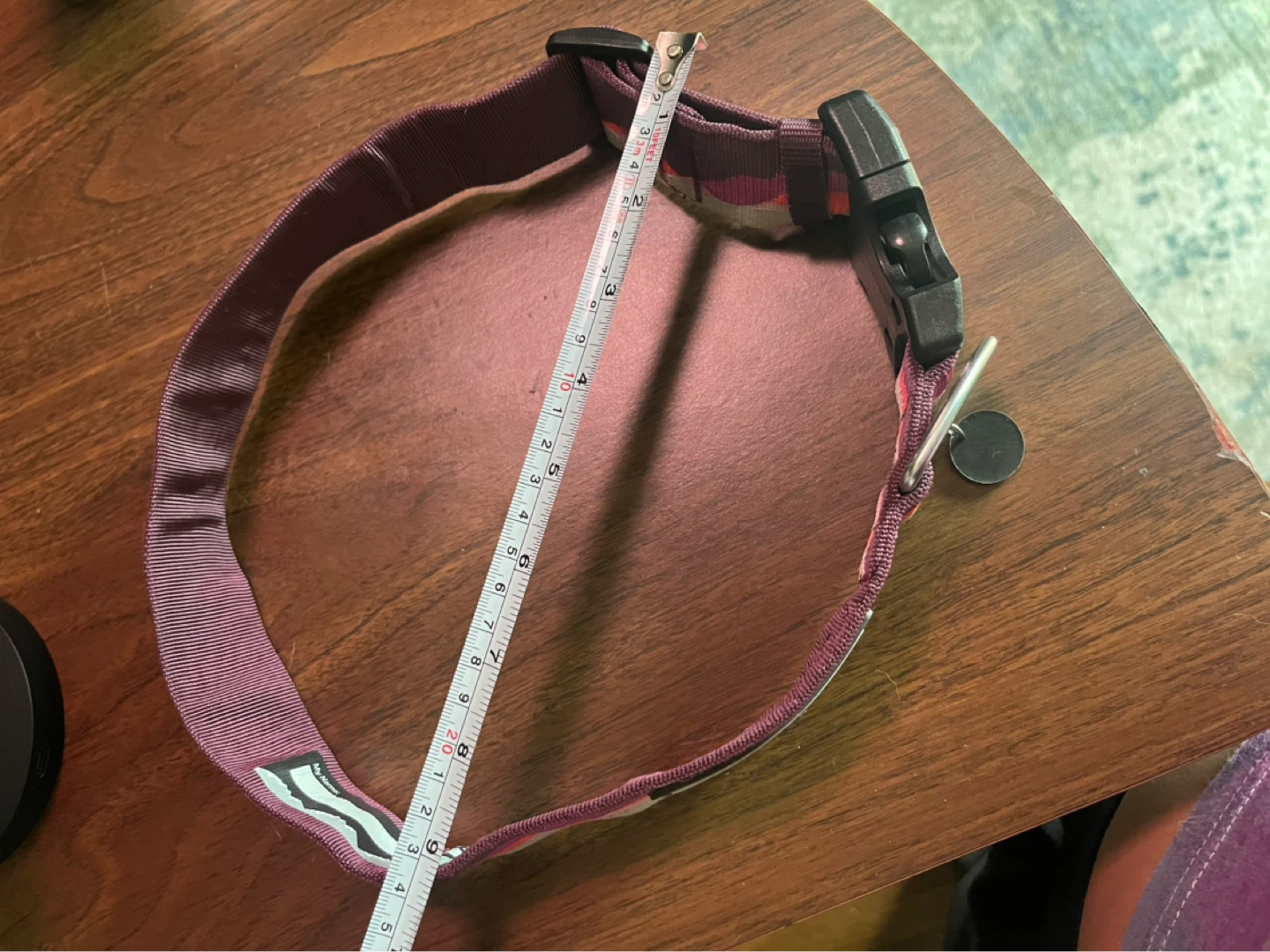 L/XL Dog Collar Arcadia Trail - photo 5