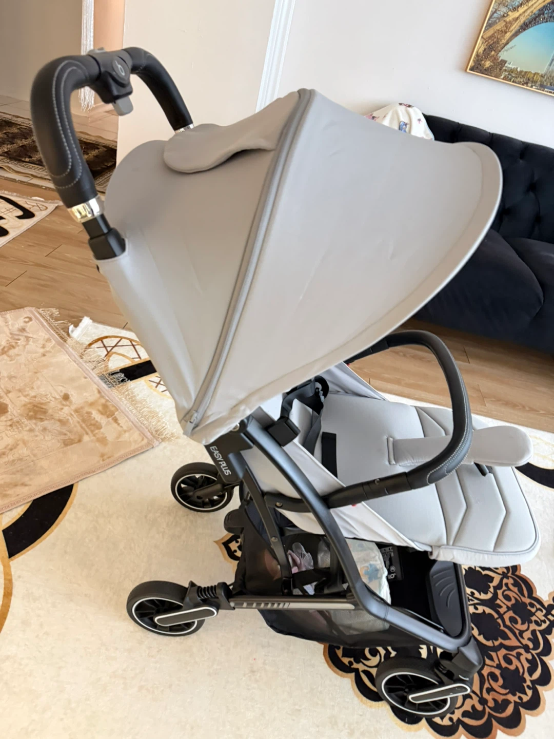 Easy Plus Stroller - photo 2