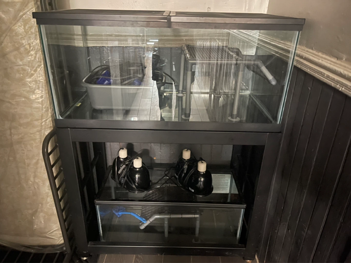 Large Glass Aquarium with Stand and Equipment