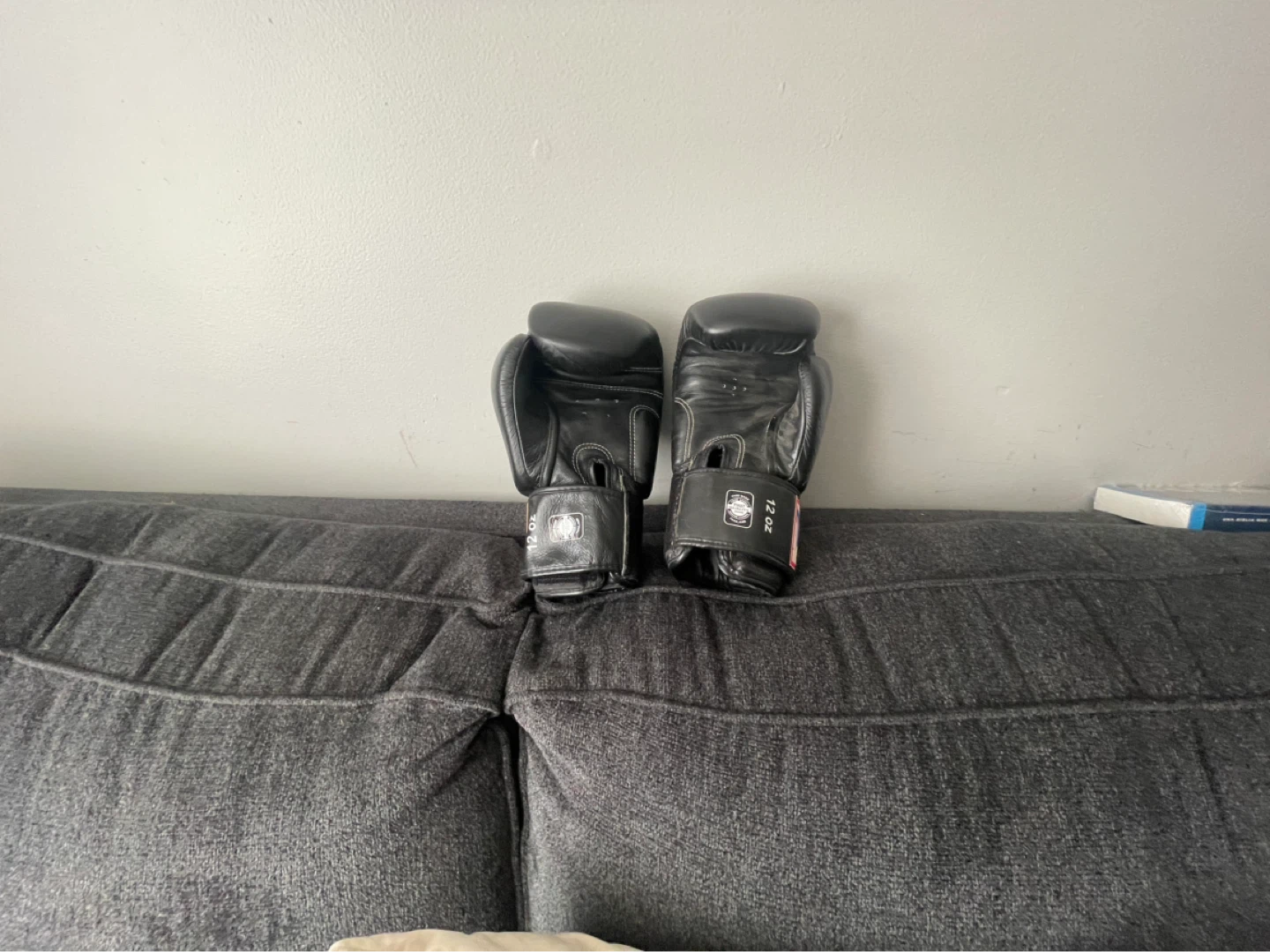 Twins Special Boxing Gloves - Black - 12 OZ - photo 4